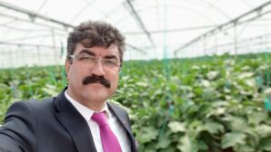 “Kadınların Gücü, Toprağın Bereketiyle Buluştu: Şükrü Gedik’ten Kooperatif Başarısı”