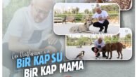 Başkan Yusuf Kanlı’dan  “Bir kap su, bir kap mama” çağrısı!