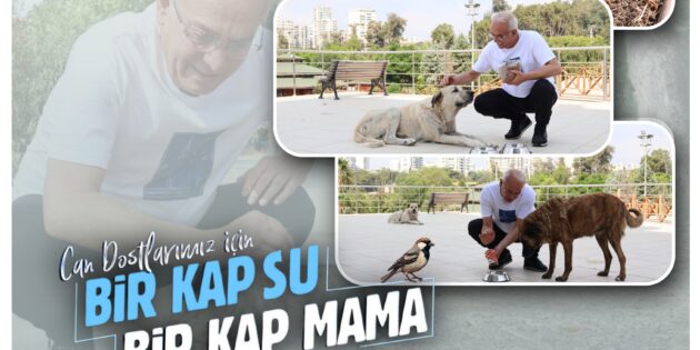 Başkan Yusuf Kanlı’dan  “Bir kap su, bir kap mama” çağrısı!