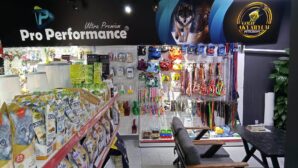 Gold Akvaryum & Petgross / Tiniminipet: Sektörde Güvenilen Adres